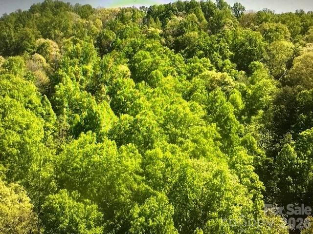 0 Crackin Chestnut Lane, Sylva, NC 28779