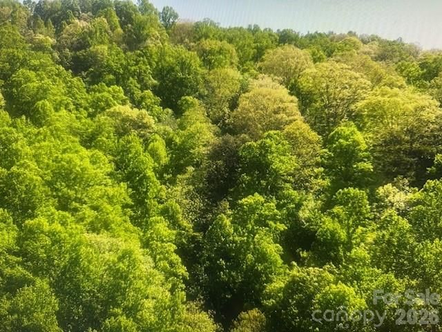 0 Crackin Chestnut Lane, Sylva, NC 28779