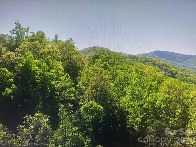 0 Crackin Chestnut Lane, Sylva, NC 28779