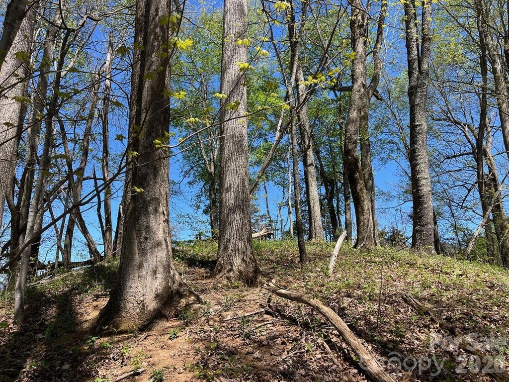 0 Crackin Chestnut Lane, Sylva, NC 28779