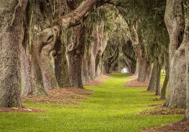 150 Salt Air Drive 219, St Simons Island, GA 31522