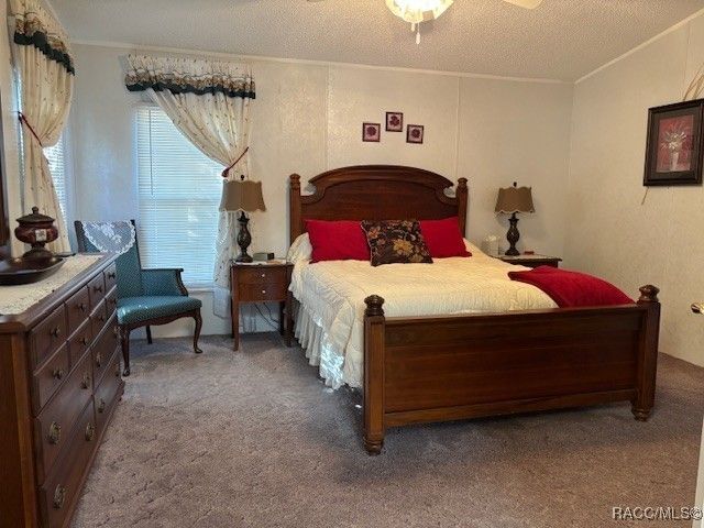 10046 W Montyce Court, Crystal River, FL 34428