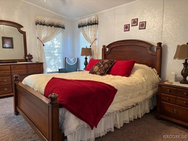 10046 W Montyce Court, Crystal River, FL 34428