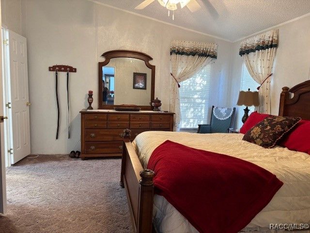 10046 W Montyce Court, Crystal River, FL 34428