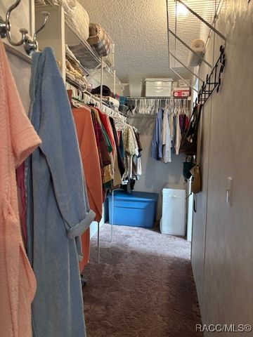 10046 W Montyce Court, Crystal River, FL 34428