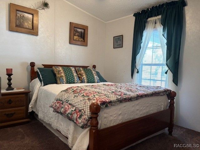 10046 W Montyce Court, Crystal River, FL 34428