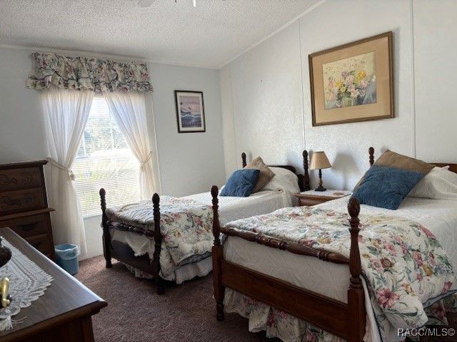 10046 W Montyce Court, Crystal River, FL 34428