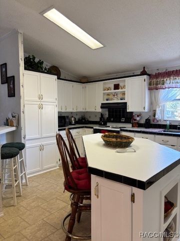 10046 W Montyce Court, Crystal River, FL 34428