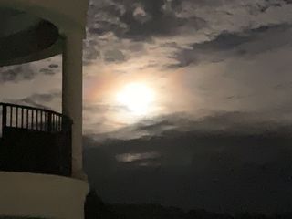 400 Warioto Way Apt 308, Ashland City, TN 37015