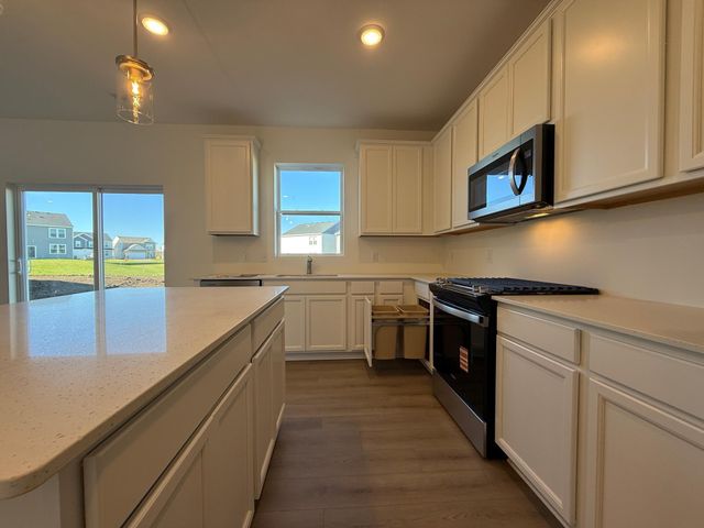 15020 Athenry Bay, Rosemount, MN 55068