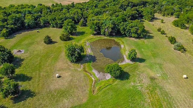 1972 FM 3134, Cumby, TX 75433