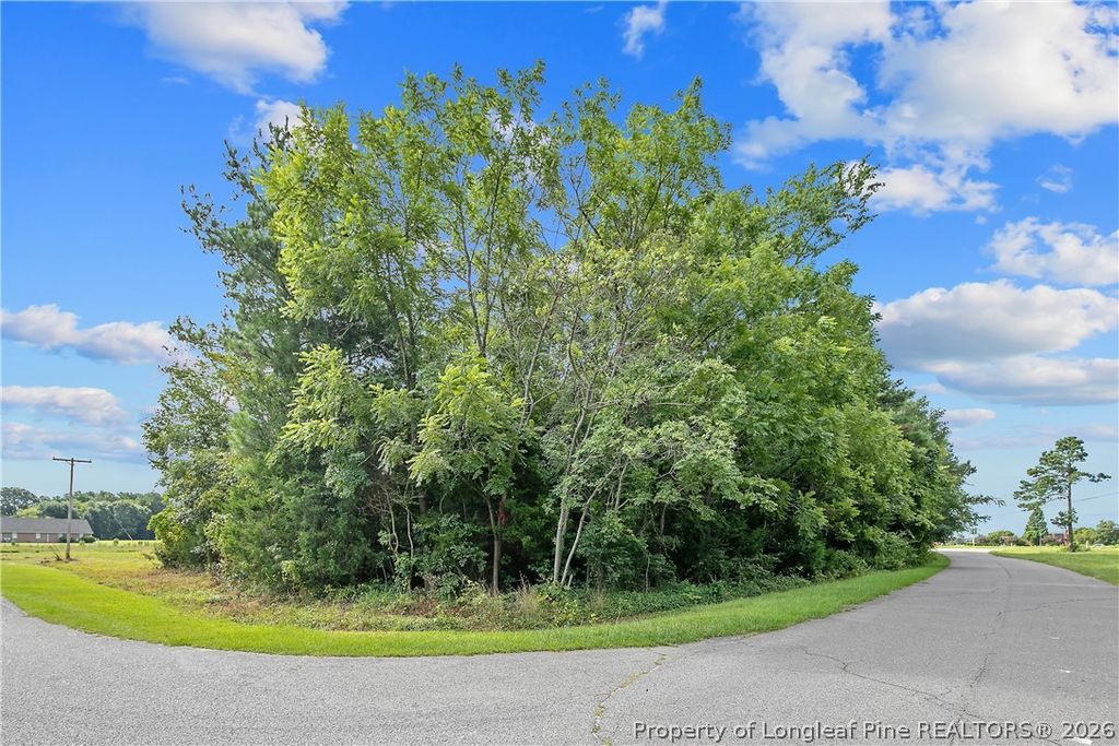 1631 FERNDALE Drive, Fayetteville, NC 28314 — photo 5