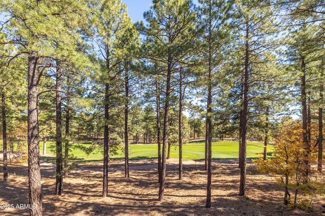 4180 S LARIAT Loop, Flagstaff, AZ 86005