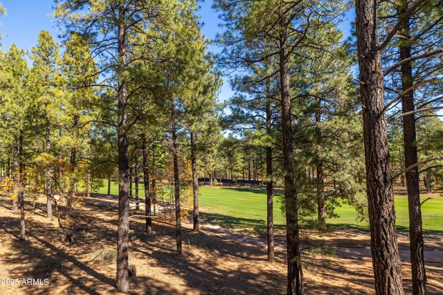 4180 S LARIAT Loop, Flagstaff, AZ 86005