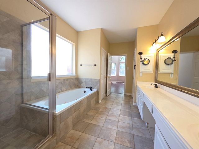 19 Vista Mill Place, The Woodlands, TX 77382