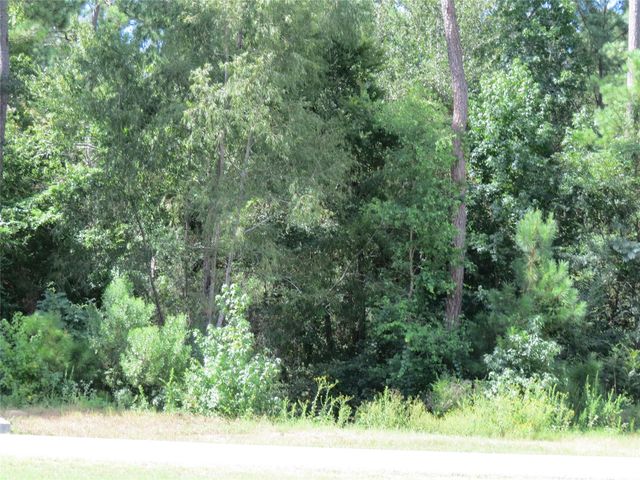 00 Texas Grand Road, Huntsville, TX 77340