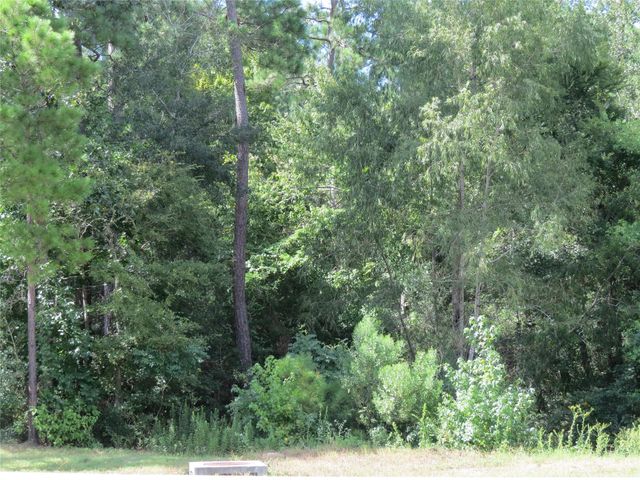 00 Texas Grand Road, Huntsville, TX 77340