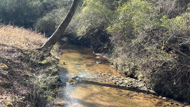 523 Fredonia Church Road, Barnesville, GA 30204