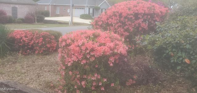 7739 Manini Way, Diamondhead, MS 39525