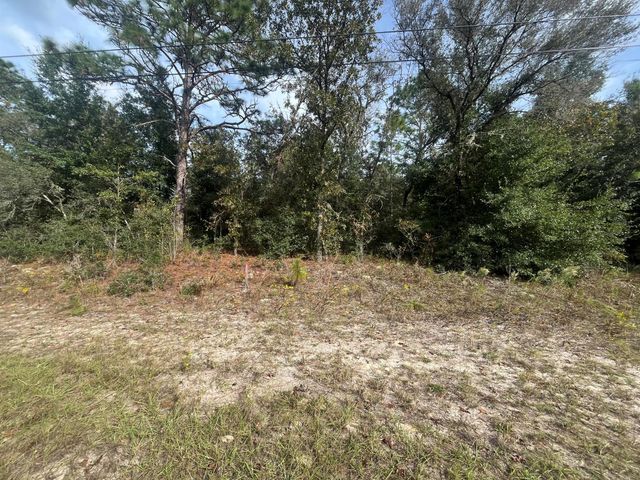 7925 N Ibsen Drive, Citrus Springs, FL 34433