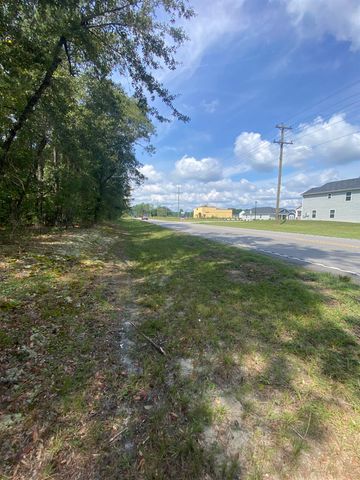 TBD Highway 905, Conway, SC 29526