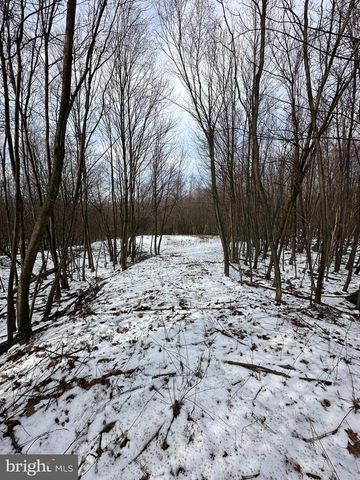 LOT 12 WINDSWEPT LANE, Grantsville, MD 21536