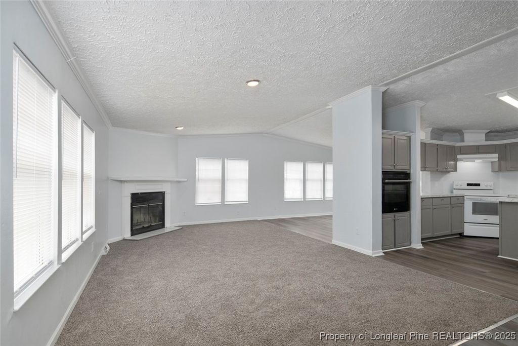 25 Remines Court, Parkton, NC 28371 — photo 5