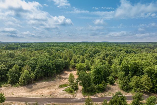 4717 Leaning Birch Drive, Long Lake Twp, MI 49685