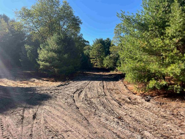 4717 Leaning Birch Drive, Long Lake Twp, MI 49685