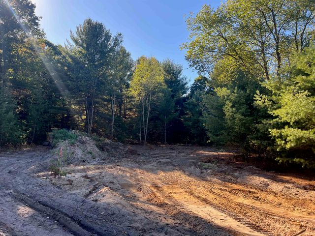 4717 Leaning Birch Drive, Long Lake Twp, MI 49685