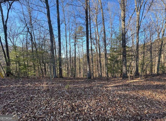 0 Rebekah Ridge LOT 1710, Talking Rock, GA 30175