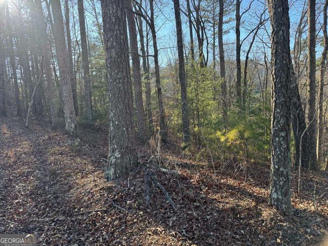 0 Rebekah Ridge LOT 1710, Talking Rock, GA 30175