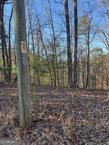 0 Rebekah Ridge LOT 1710, Talking Rock, GA 30175