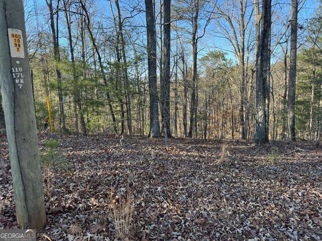 0 Rebekah Ridge LOT 1710, Talking Rock, GA 30175
