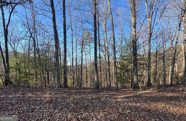 0 Rebekah Ridge LOT 1710, Talking Rock, GA 30175