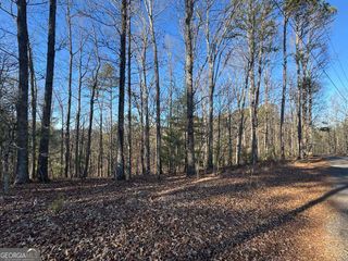 0 Rebekah Ridge LOT 1710, Talking Rock, GA 30175