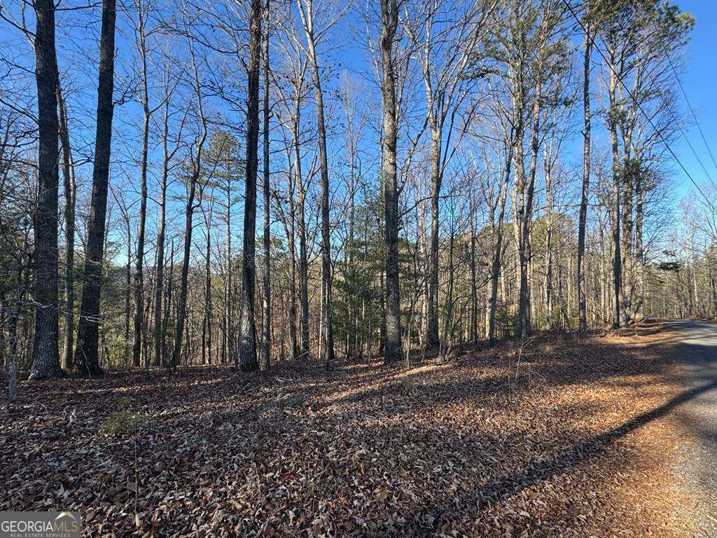 0 Rebekah Ridge LOT 1710, Talking Rock, GA 30175