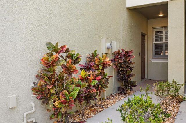 9568 TRUMPET VINE LOOP, Trinity, FL 34655