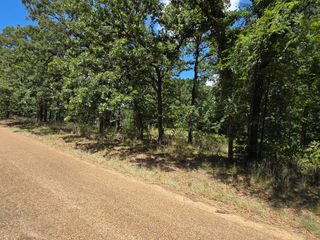 00 Hickory Street Lot 89, Mabank, TX 75156