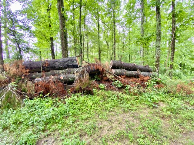 3605 S County Road 700 E, Dupont, IN 47231