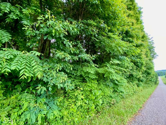 3605 S County Road 700 E, Dupont, IN 47231