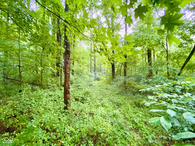 3605 S County Road 700 E, Dupont, IN 47231