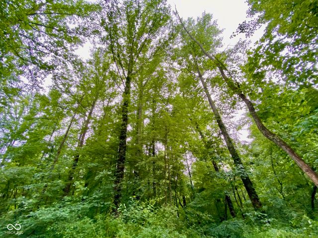 3605 S County Road 700 E, Dupont, IN 47231