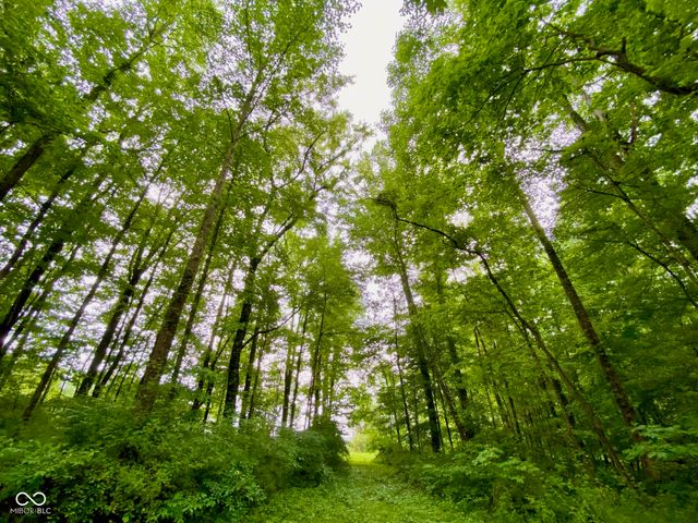 3605 S County Road 700 E, Dupont, IN 47231