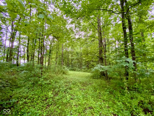 3605 S County Road 700 E, Dupont, IN 47231