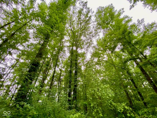 3605 S County Road 700 E, Dupont, IN 47231