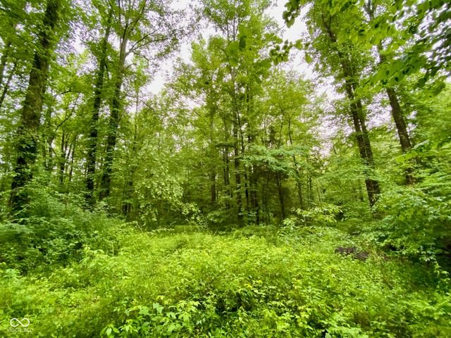 3605 S County Road 700 E, Dupont, IN 47231