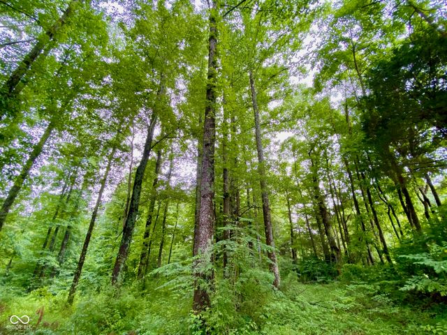 3605 S County Road 700 E, Dupont, IN 47231