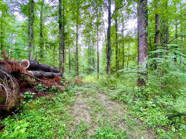 3605 S County Road 700 E, Dupont, IN 47231