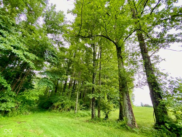 3605 S County Road 700 E, Dupont, IN 47231